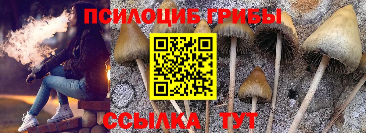 продажа наркотиков  Вход с VPN  Дятьково  Галлюциногенные грибы Psilocybe 