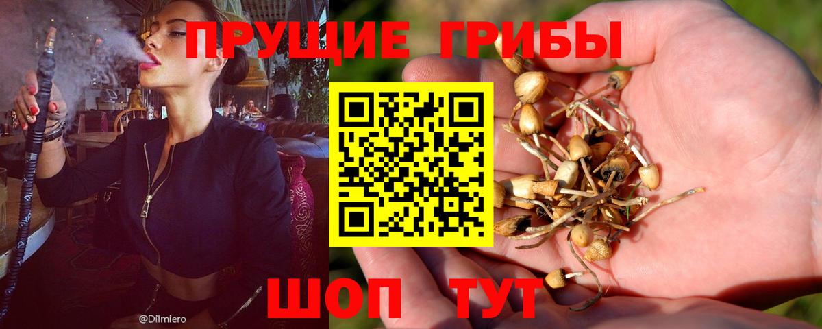 Псилоцибиновые грибы мухоморы Дятьково